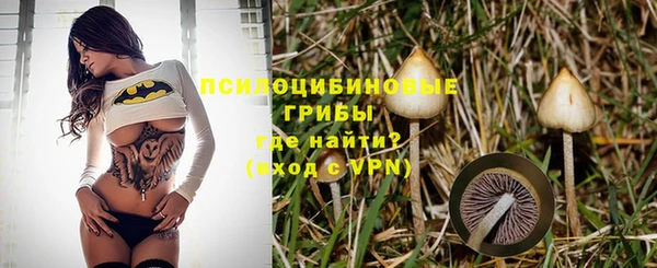 синтетический гашиш Белокуриха