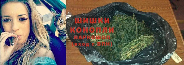 крисы Белоозёрский