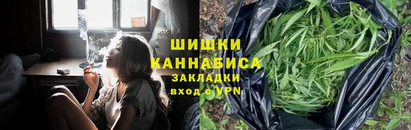 крисы Белоозёрский