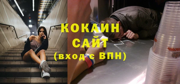 крисы Белоозёрский